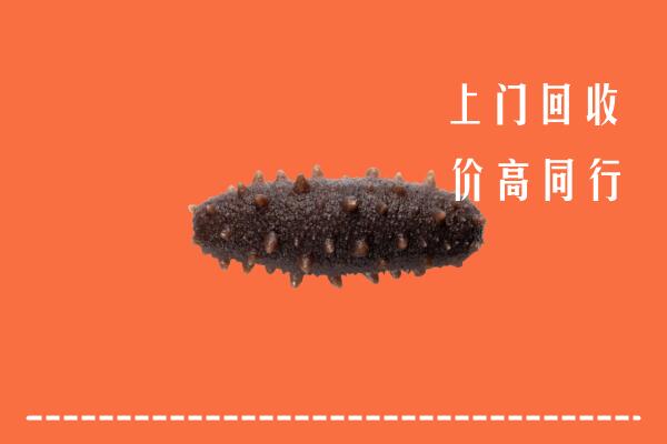 日喀则市定日回收海参